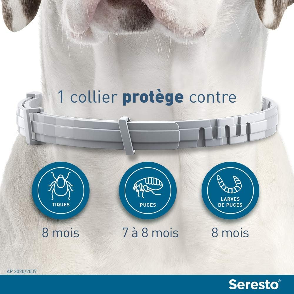 Seresto Chien Collier Anti Puces Et Anti Tiques Pour Grands Chiens 8kg Et Plus Amazon Fr Animalerie
