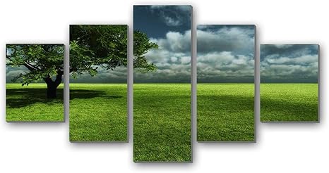 Amazon Co Jp 芝生のフィールド 自然 2527 5枚 パネル アートパネル 現代壁の絵 壁掛け部屋飾り背景絵画 キャンバス写真 壁アートしゃしん 木枠付きの完成品 装飾 軽くて取り付けやすい ホーム キッチン