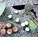 Gelindo Pruning Shears with Sharp Carbon SK-5 Steel Blade - Less Effort - Anti Slip Rubber Handles - Simple Unlocking Mechanism - Perfect for Apple Trees, Roses & Hedges