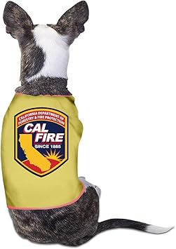 Florasun California Fire Department Vetements Mode Pour Chien Chemise Pour Chat Et Petit Chien Chat Gilet Vetements Pour Chiot Costumes Jaune S Amazon Fr Animalerie
