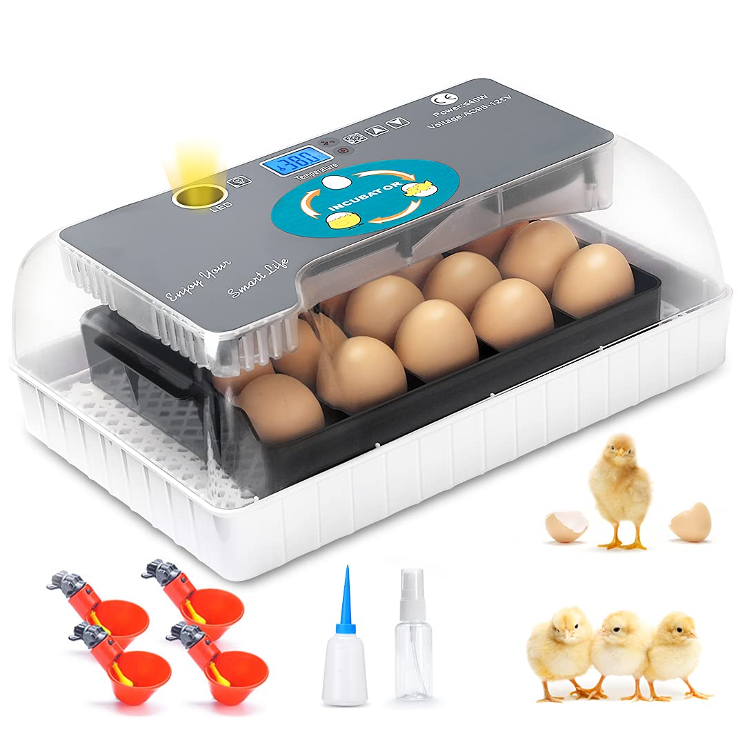 Quality Product Apdoe Egg Incubator Clear View 9 35 Eggs Hatching Incubator With Automatic Egg Turner Humidity Temperature Control Led Candler Chicken Incubators For Hatching Eggs Duck Goose Quail Turkey Birds Come To