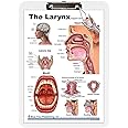 Blue Tree Publishing Larynx poster and charts (Clipboard size English)