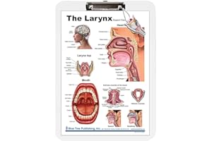 Blue Tree Publishing Larynx poster and charts (Clipboard size English)