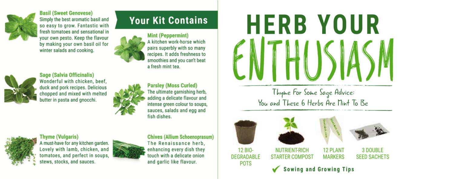 Sow Lush Set de Cultivo de Semillas «Herb Your Enthusiasm» 6 ...