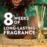 Air Wick Pumpkin & Winter Spice Reed Diffuser 42 ml Single Pack view 4