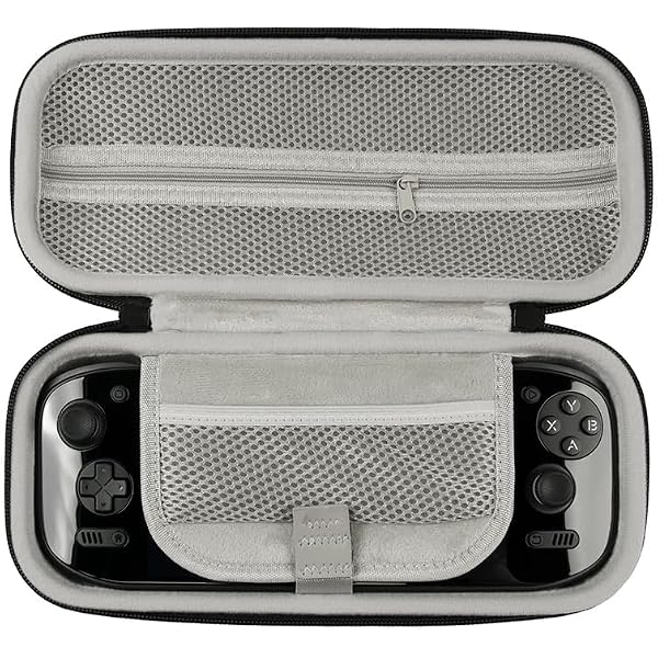 Amazon.com: Hesupy Travel Storage Case for AYN Odin 2 Mini