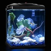 Small Fish Tank, 2 Gallon Glass Aquarium, Betta Fish Shrimp Goldfish Tropical Fish Starter Kit Self Cleaning with Filter &amp; LED Plant Light, Ultra-Quiet Kids Room Decoration Fish Tank