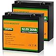 ECO-WORTHY 2 Pack 12V 30Ah LiFePO4 Lithium Battery for Mobility Scooter, Power Wheels, Wheel Chair, 3000+ Deep Cycle Rechargeable Battery