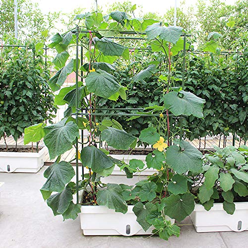 WAENLIR Garden Stakes 60 inch 5ft Sturdy Plant Sticks/Support, Tomato