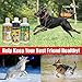 Concentrated Liquid Glucosamine for Dogs - Advanced Hip and Joint Supplement w/Chondroitin, MSM, Hyaluronic Acid - Safe Natural Arthritis Pain Relief for Dogs - Made in USA - 32oz