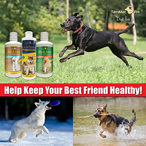 Concentrated Liquid Glucosamine for Dogs ? Advanced Hip and Joint Supplement with Chondroitin