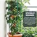 EasyGO Products EGP-GARD-020 Cages – Stakes-Vegetable Trellis-3 Pack Tomato Plant