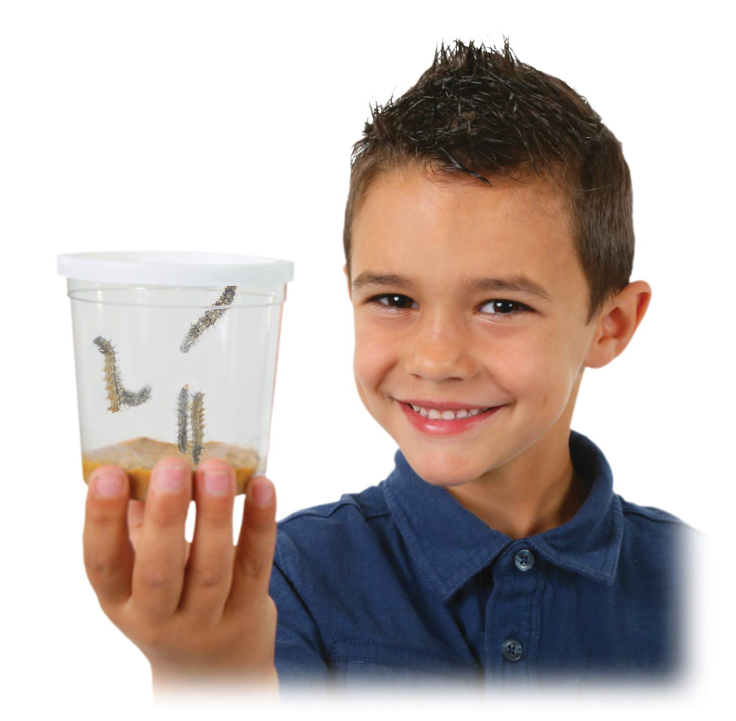 Insect Lore Butterfly Garden Original Habitat and Live Cup of