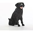 Conversation Concepts Black Lab Dog Figurine