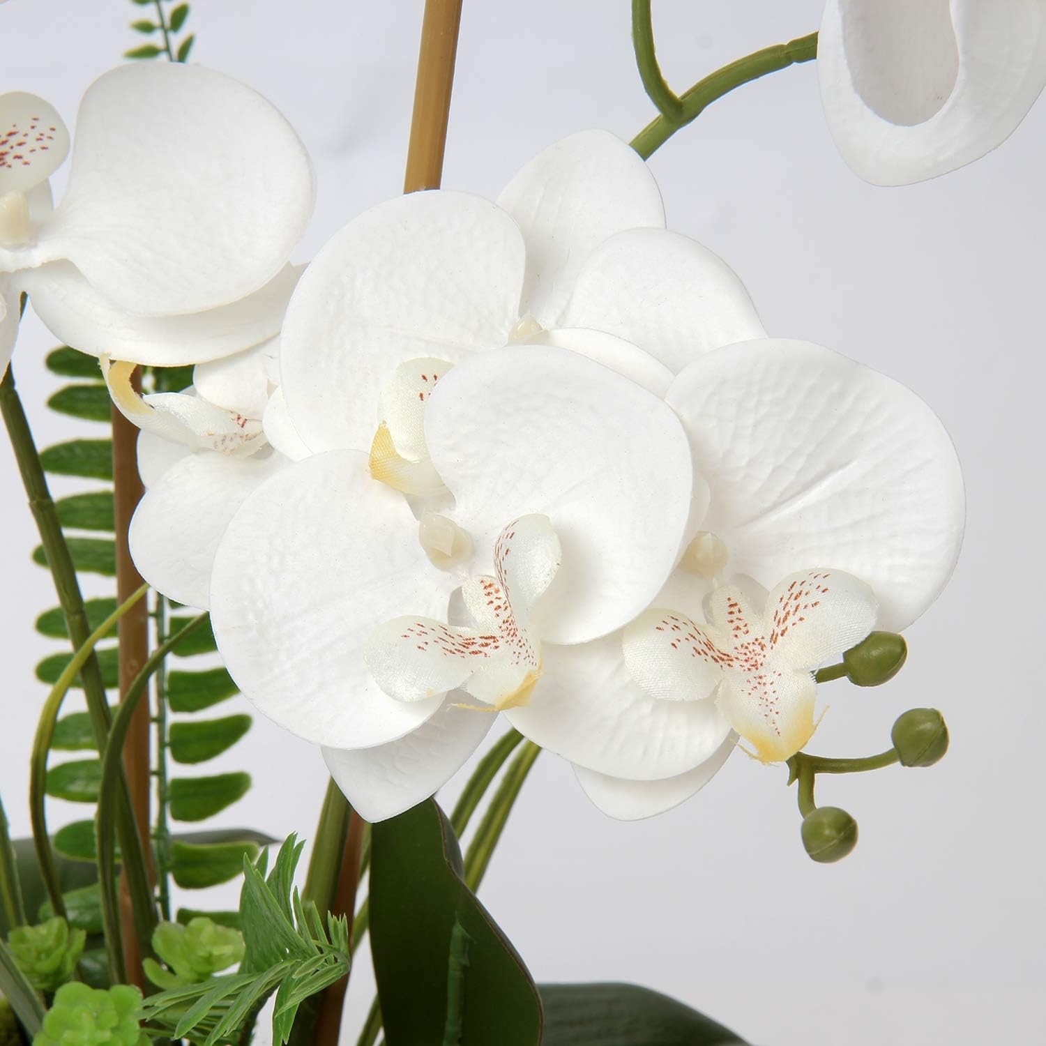 Briful White Orchid Artificial Flowers in Pot, Fake Orchid White Silk Phalaenopsis Flower Arrangement - Image 5