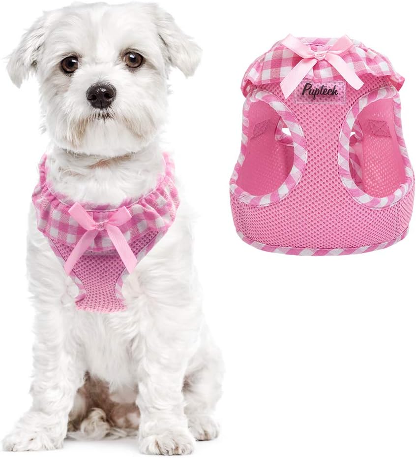 small dog harness amazon