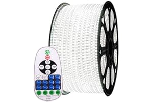 XUNATA 66ft Flexible LED Strip Lights, AC 110-120V 60 LEDs/M Dimmable Waterproof SMD 5050 LED Rope Light with Remote Controll