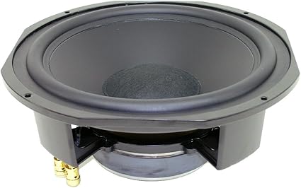 10 inch replacement woofer