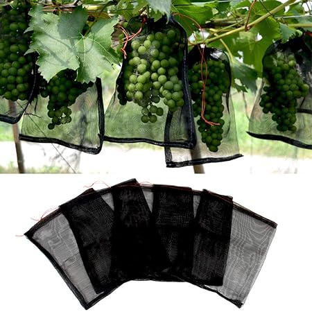 Insectos Mosquitera Barrera Bolsa Flor de jardín Flor Fruta ...