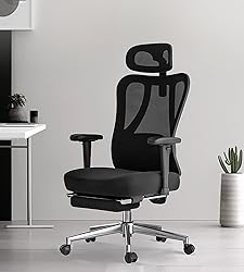 Hbada P3 Ergonnomic Office Chair with 2D Adjustable