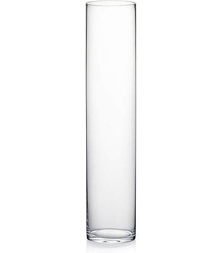 Amazon.com: WGV Tall Cylinder Glass Vase, Open Width 5