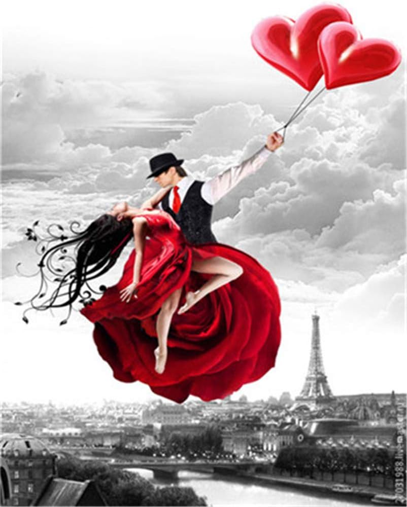 Paint by Numbers Kits DIY Oil Painting Home Decor Wall Value Gift - Graceful Dance 16X20 Inch (Frame)