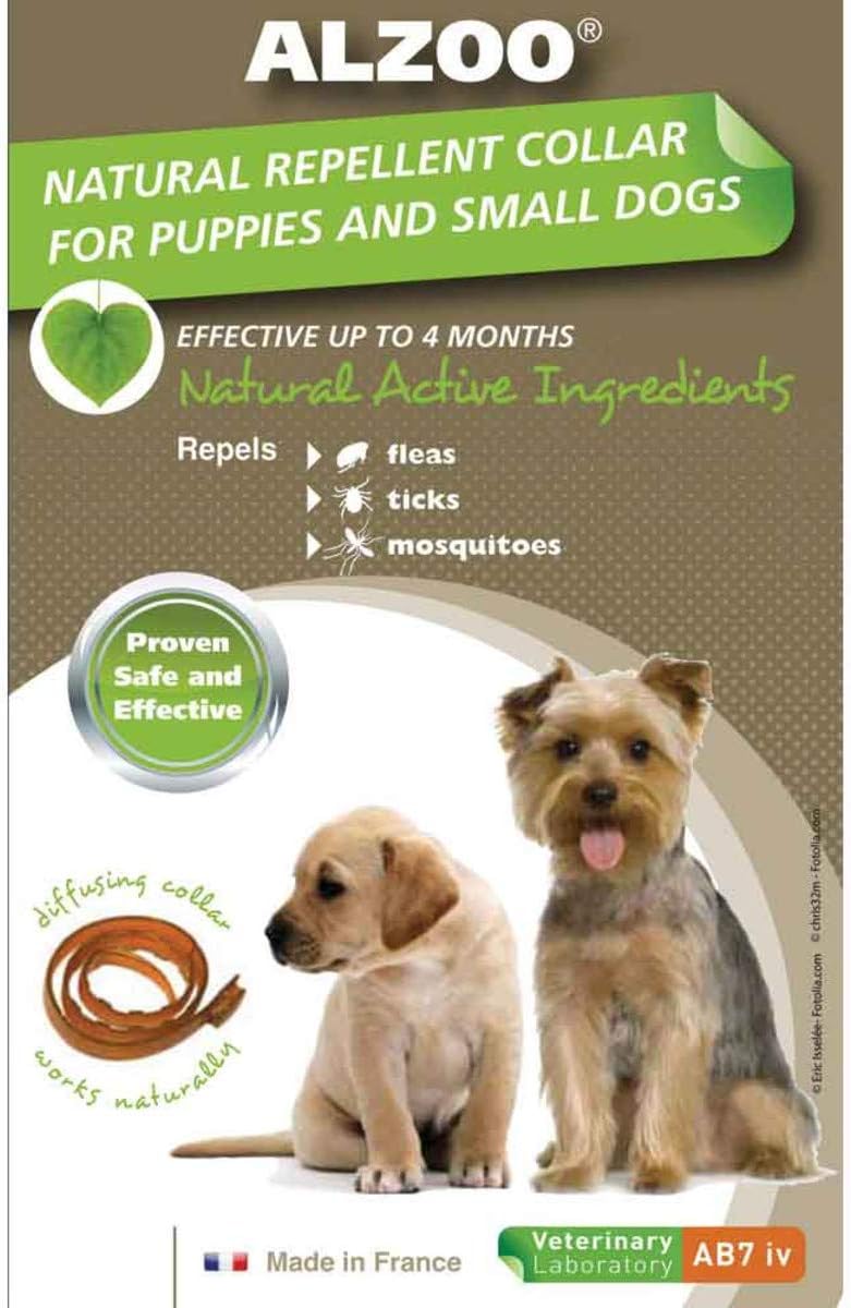 flea treatment canada