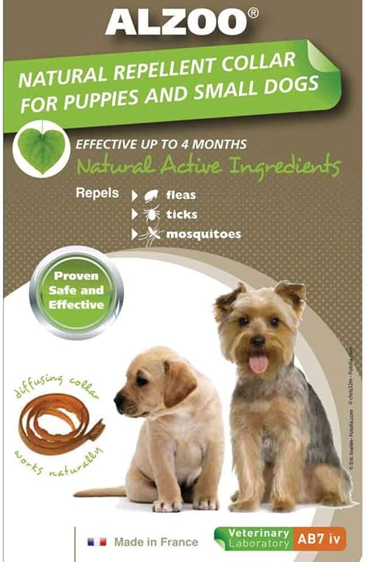 seresto collar small dog amazon