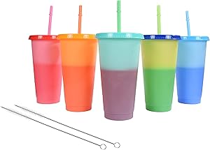 Jerty Color Changing Cups with Lids and Straws with 2 Straw Cleaning Brushes, 24 oz Reusable Plastic Color Changing Tumblers, Set of 5