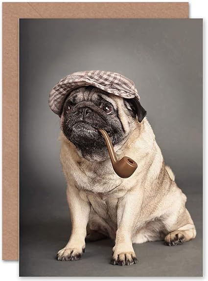 How Much Are Pugs Worth Without Papers