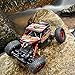 JOYIN RC Remote Control Car Off-Road Rock Crawler Power Wheel Monster Racing Truck