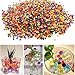 6000Pcs/30 Bags Water Beads,Water Bullet Balls Toys Crystals Growing Beads for Vase Filler,Wedding,Party,Soil and Plant Decoration(Rainbow Mix)