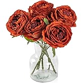 DuHouse 5Pcs Silk Roses Fake Burnt Orange Roses with Stems Real Touch Rose Artificial Flowers for Arrangement Wedding Party Home Decoration(Burnt Orange)