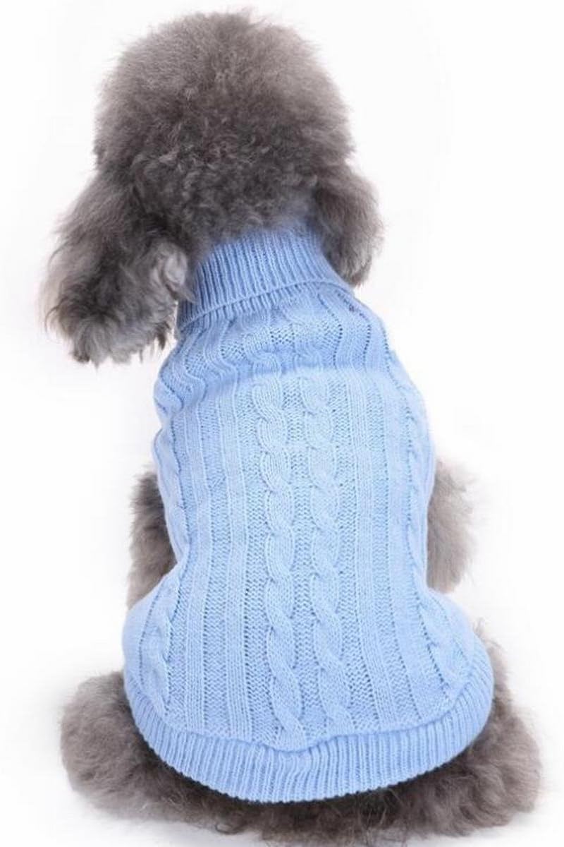 bichon frise clothes