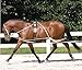 Hunters Saddlery Ultimate Horse Lunging Training Aid System Lunge Equipment - Pony, Cob/Horse, Draft Size