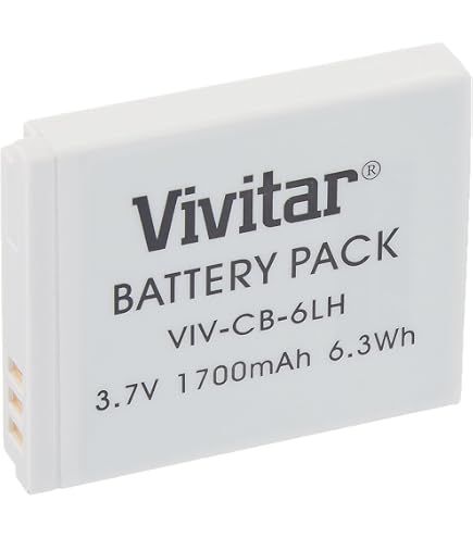 2x Batteria per Vivitar DVR-710 DVR-7300X DVR-830XHD DVR-840XHD 1300mAh 3,7V 4061476944485