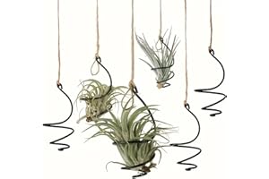 NWSRAYU 6 pcs Set Hanging Air Plant Holder Air Plant Hanger with Jute Ropes, Soilless Air Plant Stand Tillandsia Succulent Display Container for Home Office Decor