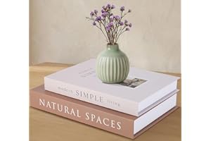 Decorative Books for Home Decor with Hidden Storage, Faux Book Box Set of 2 for Coffee Table & Shelves, Neutral Book Decor Ae