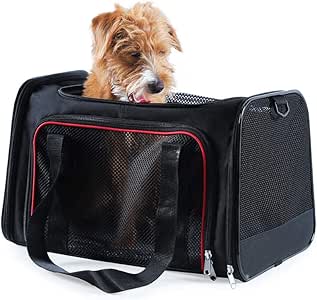 can i give my dog benadryl liquid gels