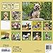 Yorkies Wall Calendar (2017)