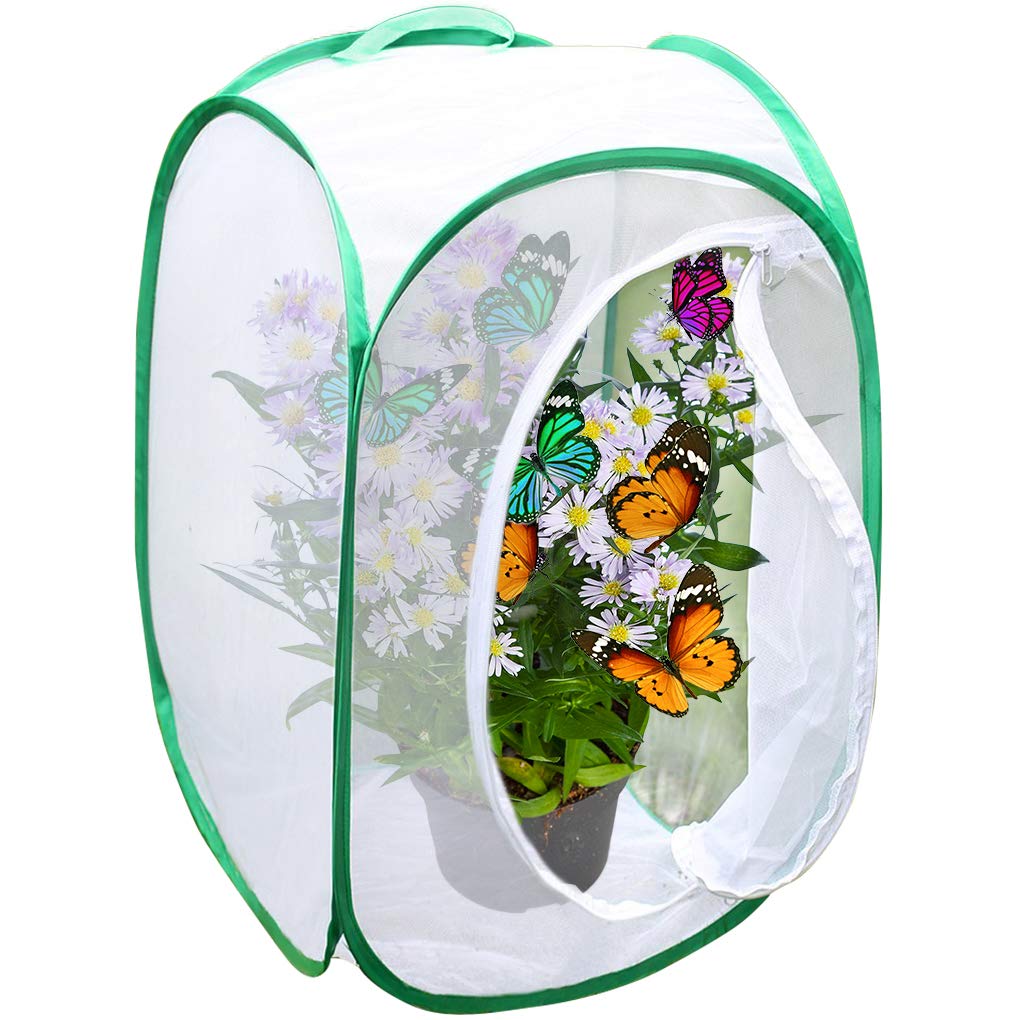Backyard Butterfly Cage Habitat --- 24” Tall, Collapsible, Pop-up Terrarium - Fine Mesh stops Predator – 5 Mesh Panels for airflow - With Large Zipper Opening - Clear window panel for easy viewing