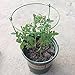 rescozy (Pack of 3) Large Garden Plant Support Rings, 10