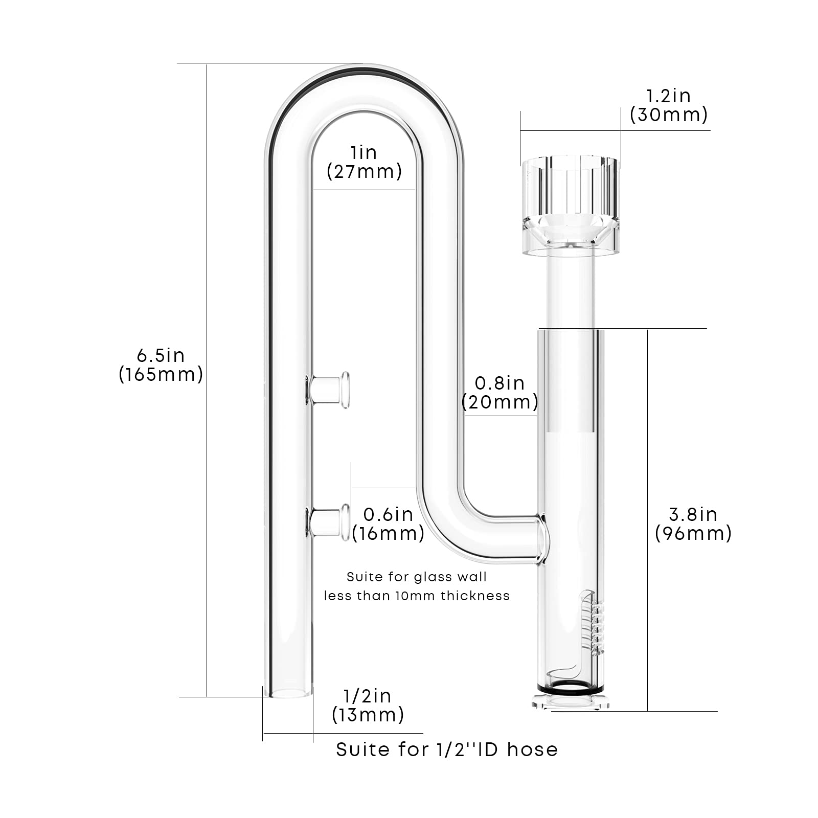 Aquarium Walk-In & Spout with Skimmer Lily Pipes U-Shaped Feeder and Drain Water Lily