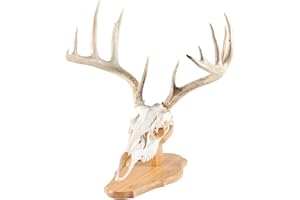 Walnut Hollow Country Display Mounting Kit