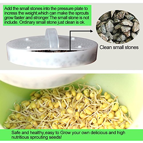 Seed Sprouter Pot,Big Capacity 8.27"x8.27"x8.4"Green Health Bean Sprouting Device 5 in 1:Inner+Outer bucket,Pressure plate,Lid,Tray and Counting Cup