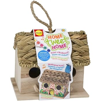 Amazon.com : Toysmith Paint-a-Birdhouse Kit : Bird Houses 