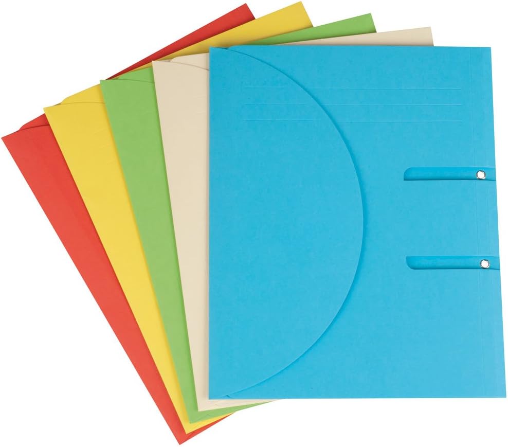 Elco Ordo Collecto A4 250x315mm Expanding Folders for A4 Ring Binders - Multicoloured (Pack of 10)