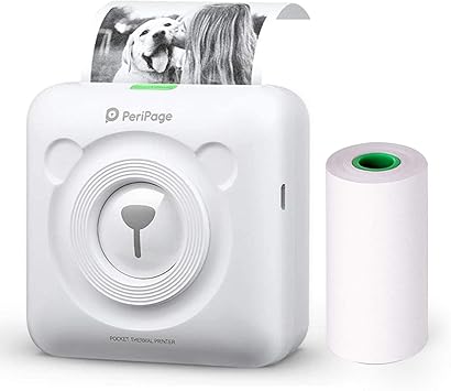 thermal printer peripage