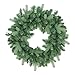 Northlight Coniferous Mixed Pine Artificial Christmas Wreath, 24
