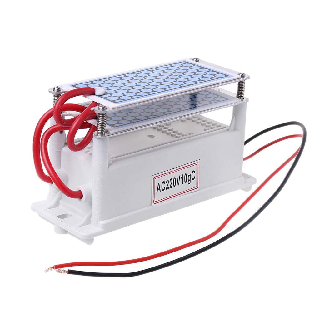 Ycncixwd 220 V 10 g/h placa de cerámica generador de ozono doble ...